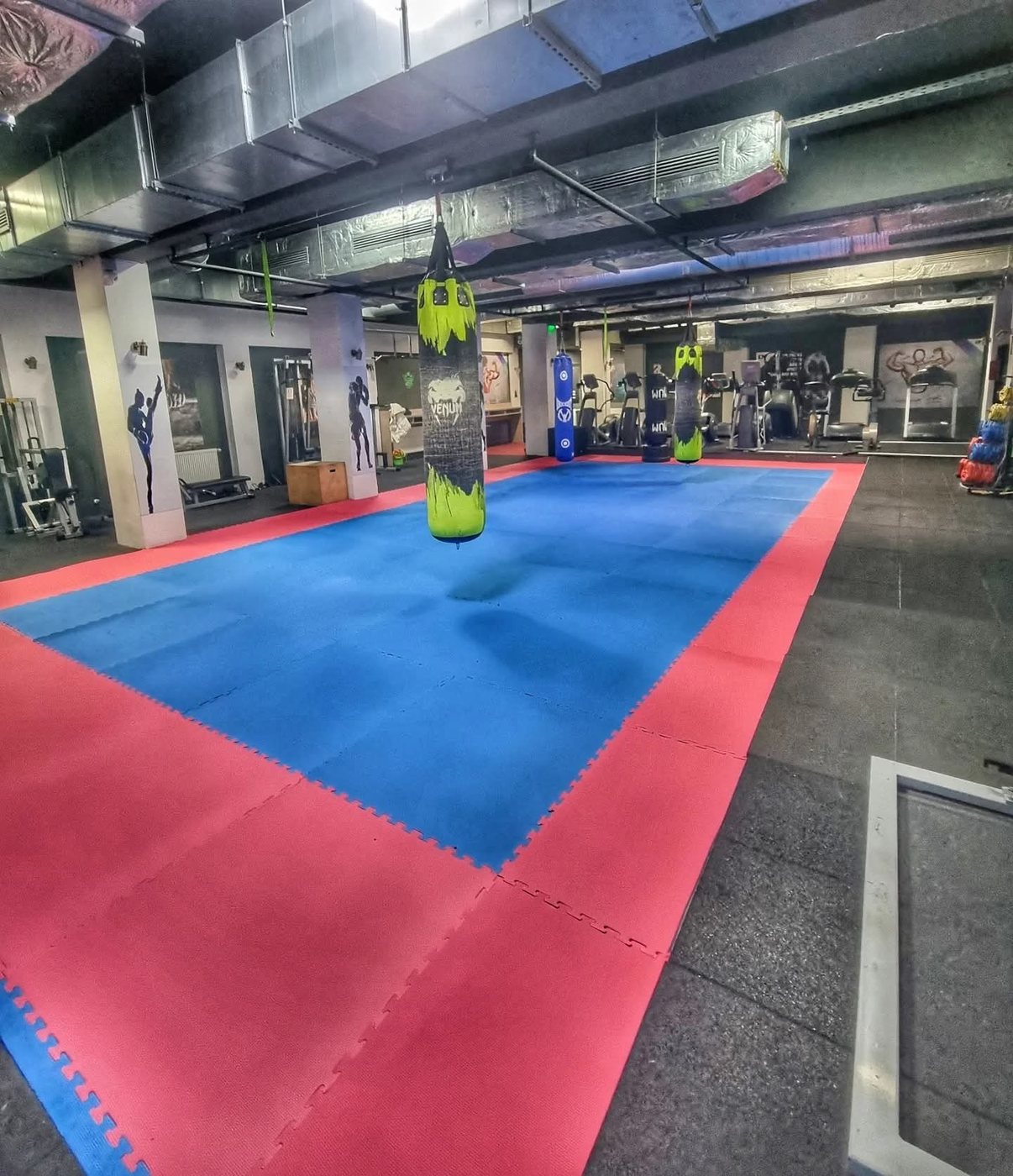 Tatami-ul de kickbox din sala Power Kick